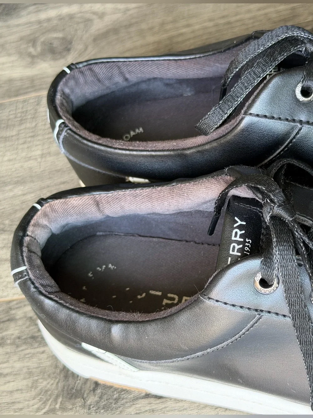 Modern Sperry Topsider Charter Lace Up Memory Foam Sneaker-9.